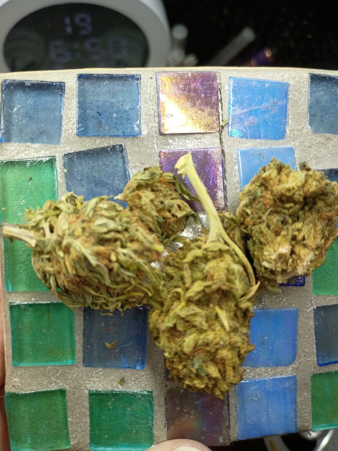Customer photo review of Green Crack - 28 Grams - Sativa