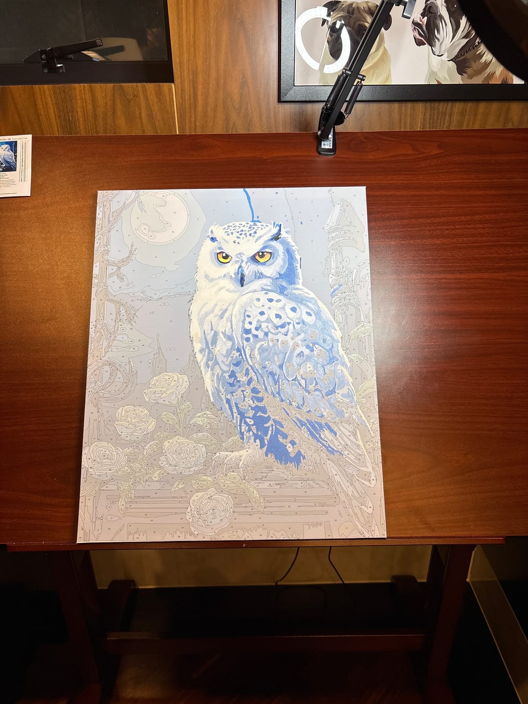 Customer photo review of Snowy Owl
