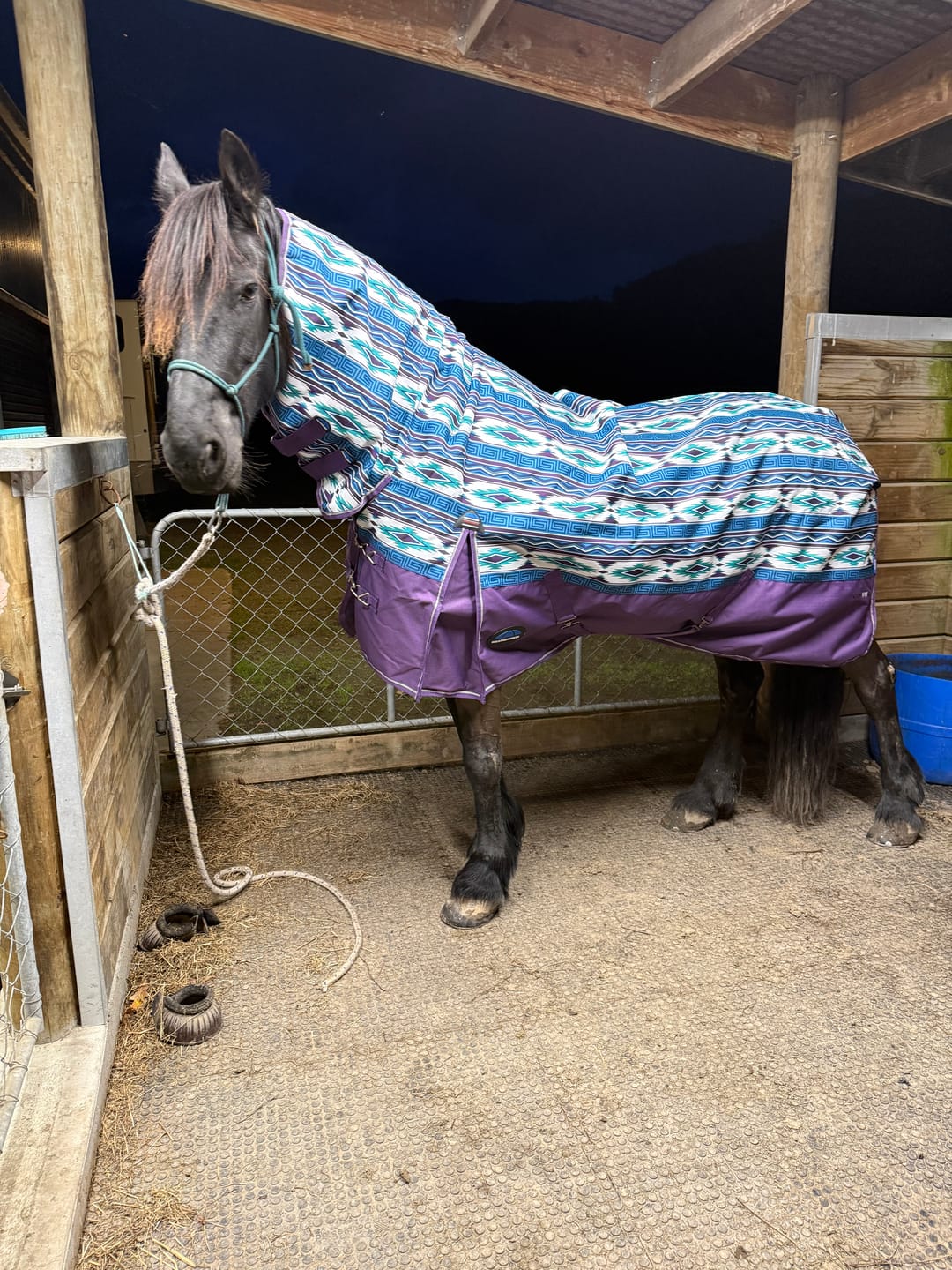 Customer photo review of Weatherbeeta Comfitec Essential Turnout Combo Cover Lite Plus- 50g Purple Navajo Print