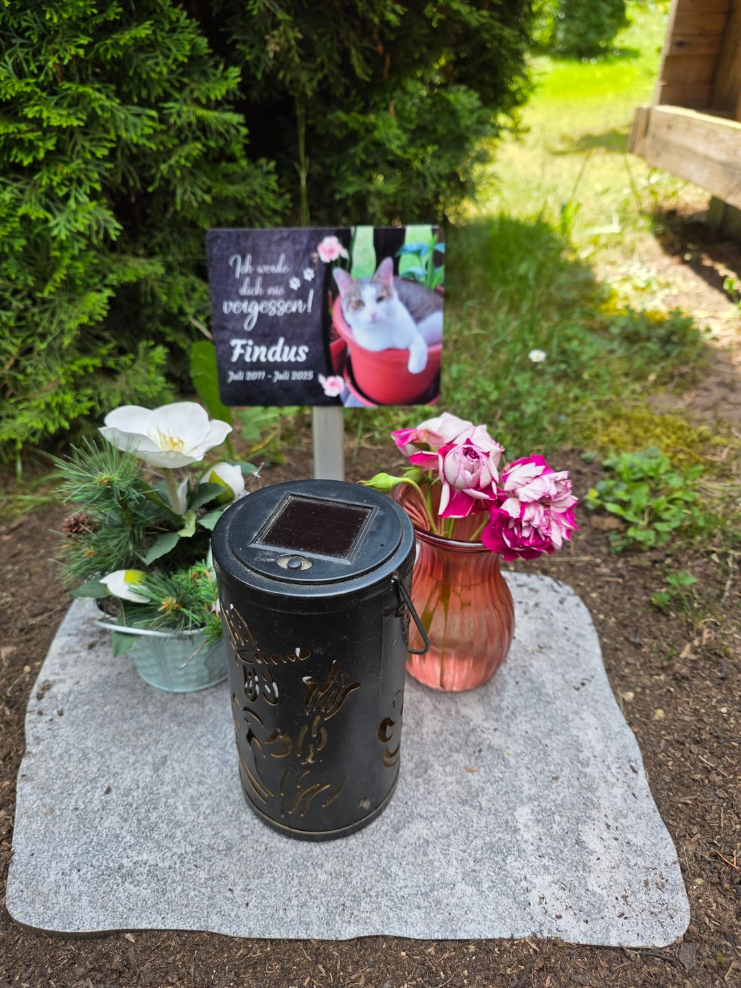 Customer photo review of Katzen Gedenktafel mit Foto & Spruch (UV- & Wetterfest)
