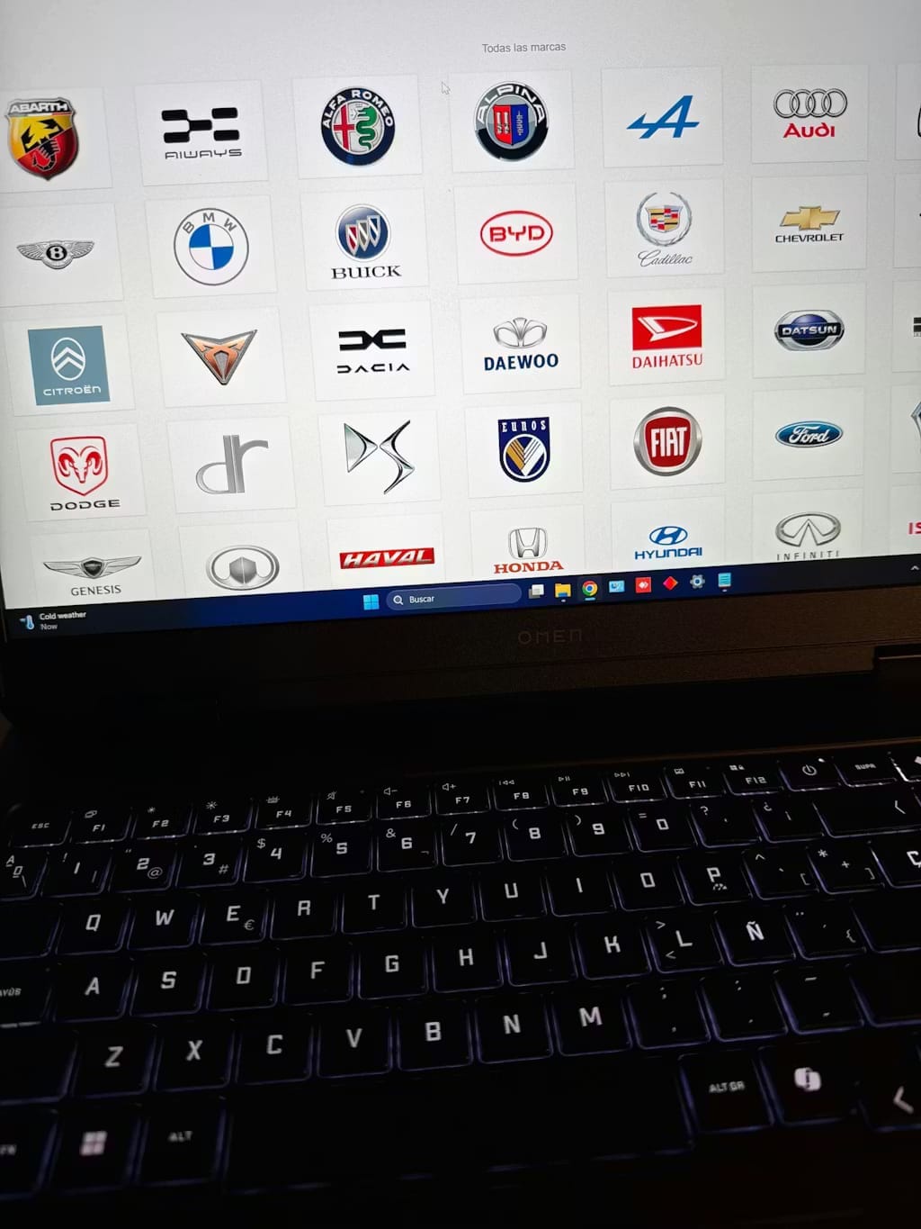 Customer photo review of Professional Repair Database for All Car Brands