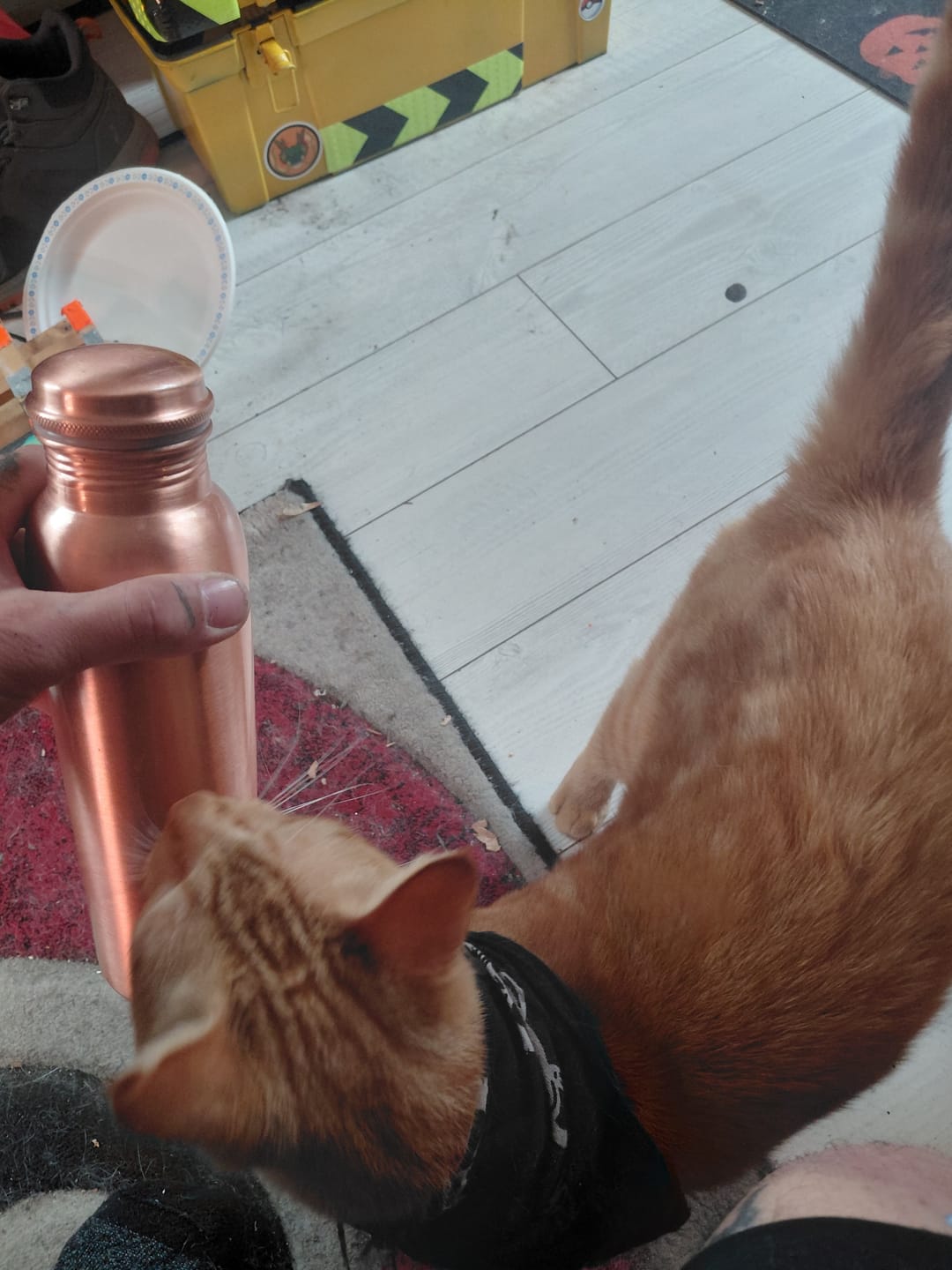 Customer photo review of Special Edition Plain Copper Water Bottle | Smooth Matte Finish for Pure Hydration