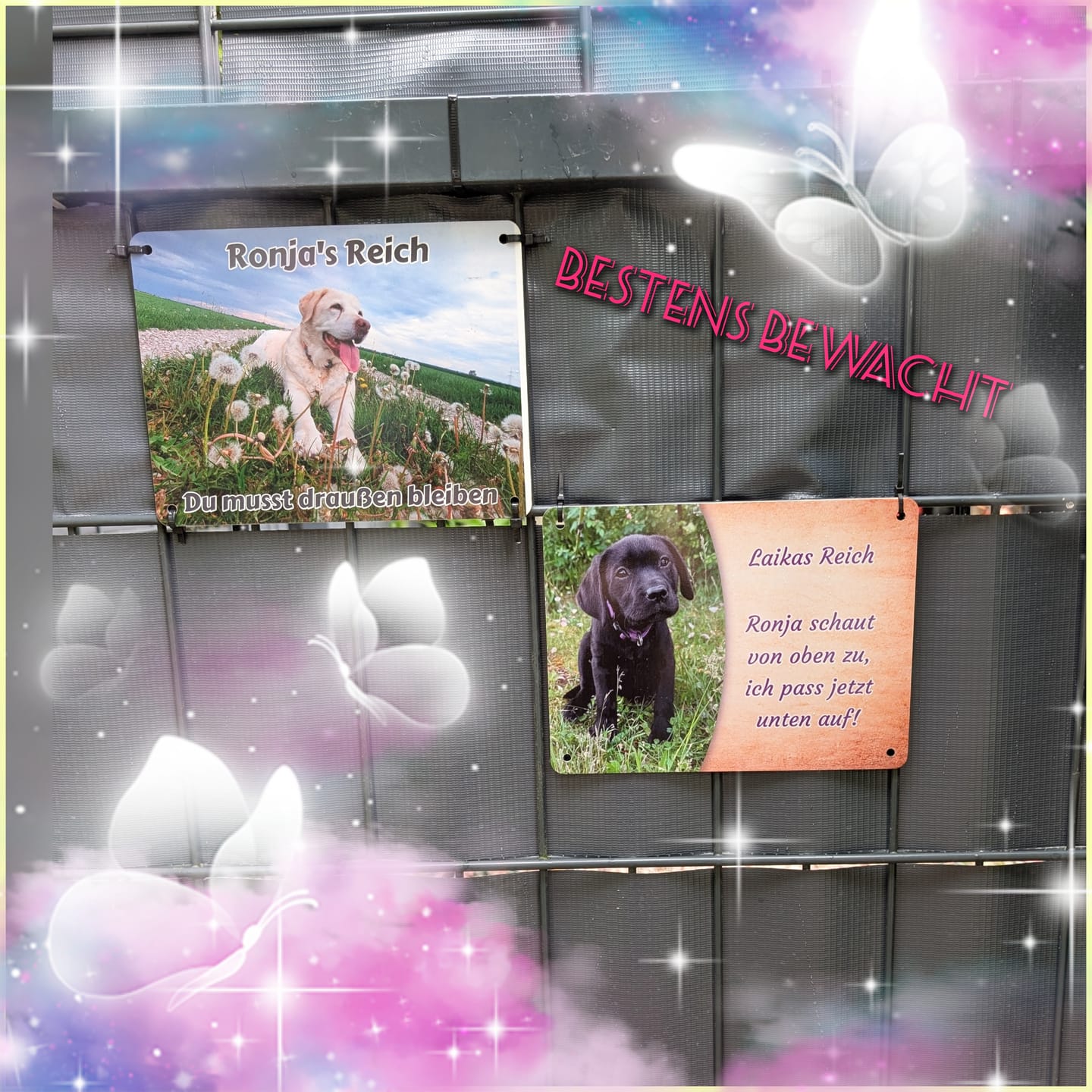 Customer photo review of Hunde-Türschild personalisiert mit Foto & Text (UV- und wetterfest)