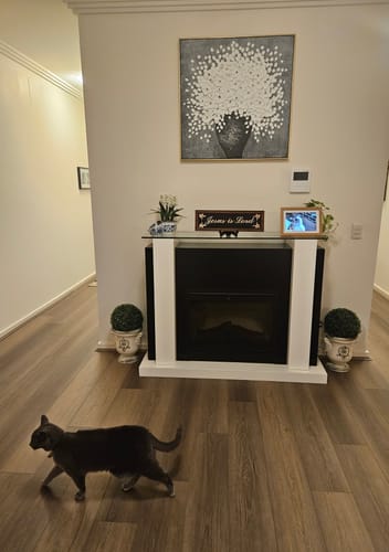Customer review photo for Colorful Painting #CA015