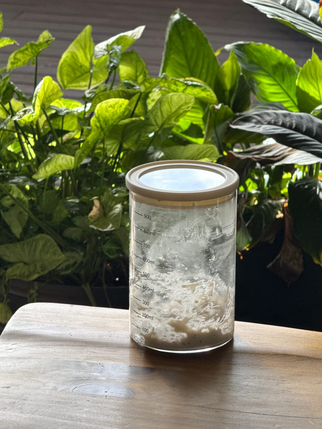 Customer photo review of Sourdough Starter Kit –  Complete Bread Baking Kit for Beginners