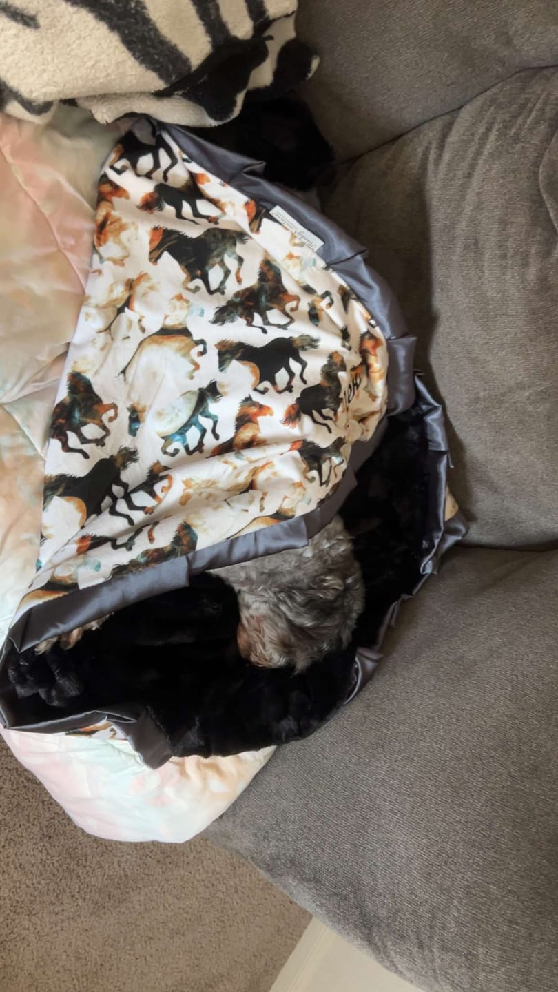 Customer photo review of Custom Blanket Personalization