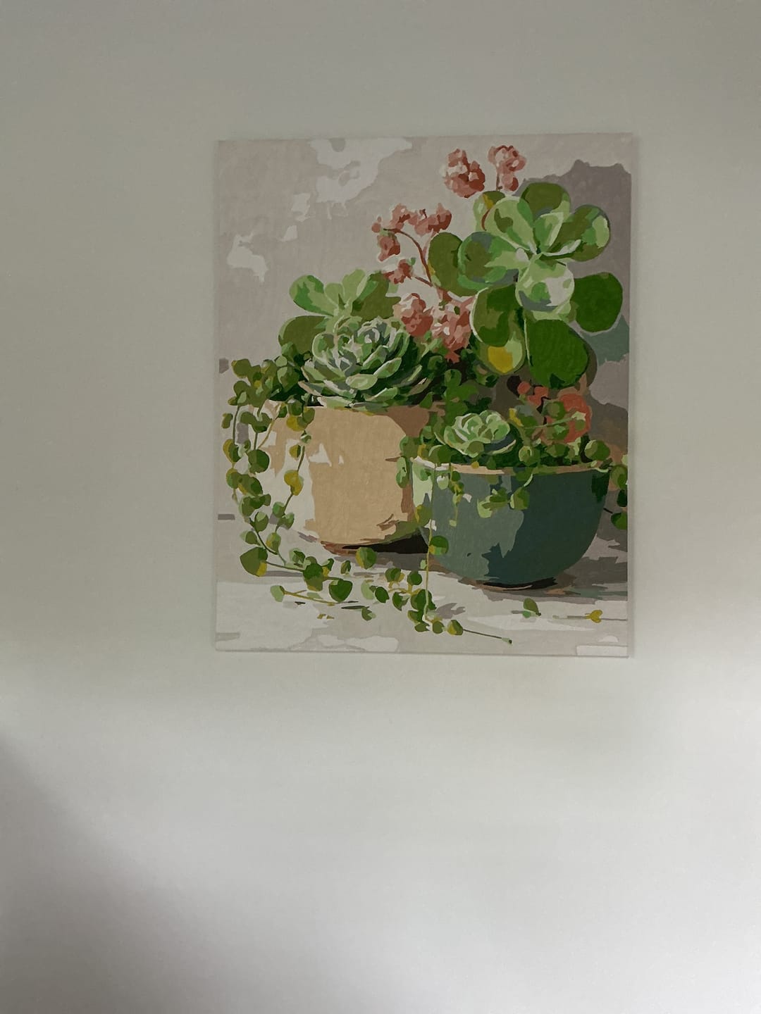 Customer photo review of Malen nach Zahlen - Frühlings-Sukkulenten