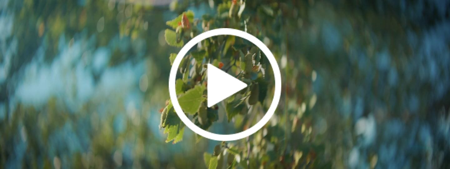Customer video review of Arcana 1.5X Anamorphic T2.1 Full frame