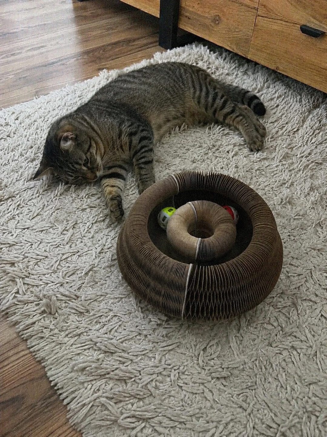 Customer photo review of Novio™ – 3 az 1-ben Interaktív Macska Kalandpark