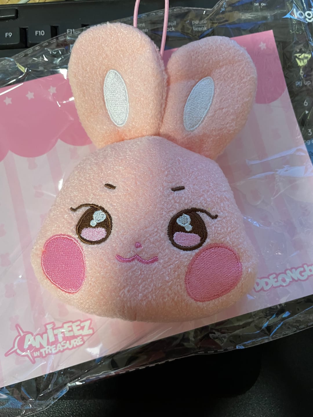 Customer photo review of ATEEZ - ANITEEZ IN TREASURE OFFICIAL MD PLUSH NAME TAG