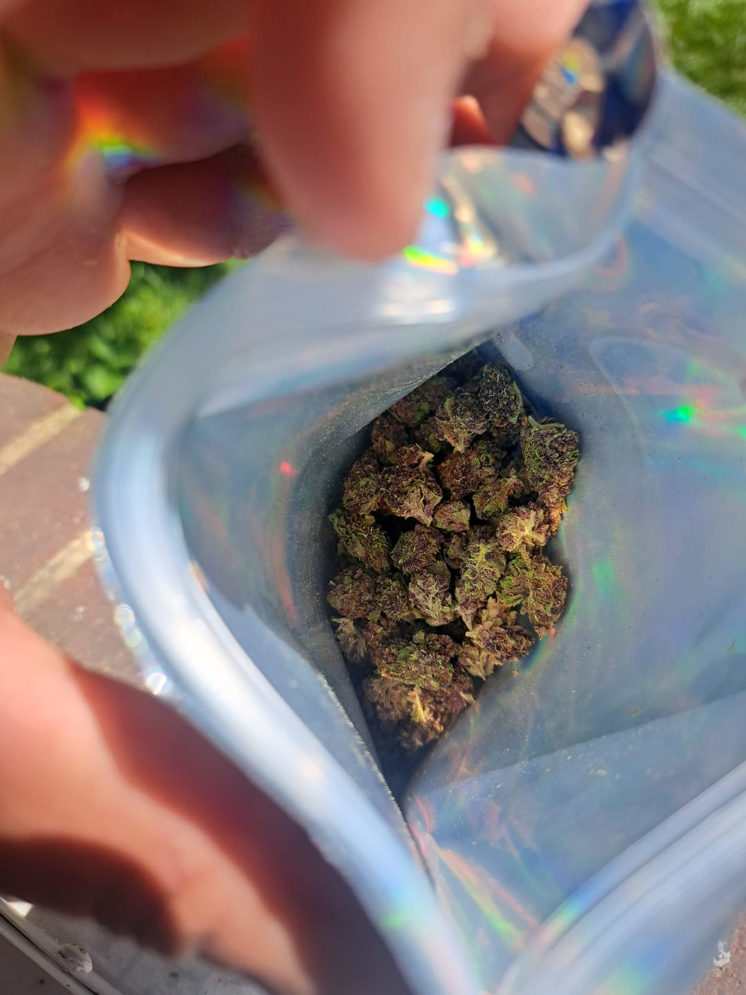 Customer photo review of Granddaddy Purple - Minis - 14 Grams - Indica