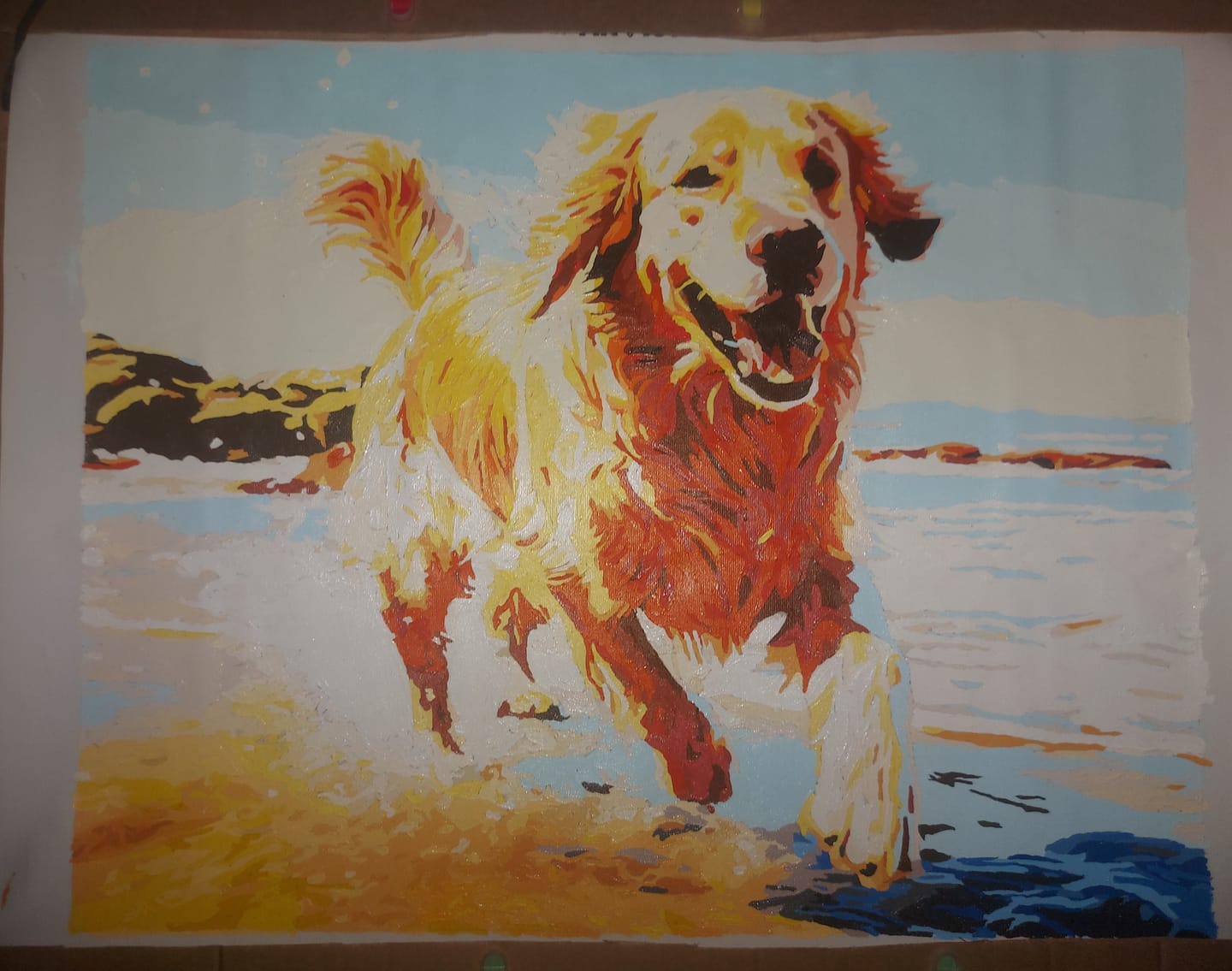 Customer photo review of Beach Day
