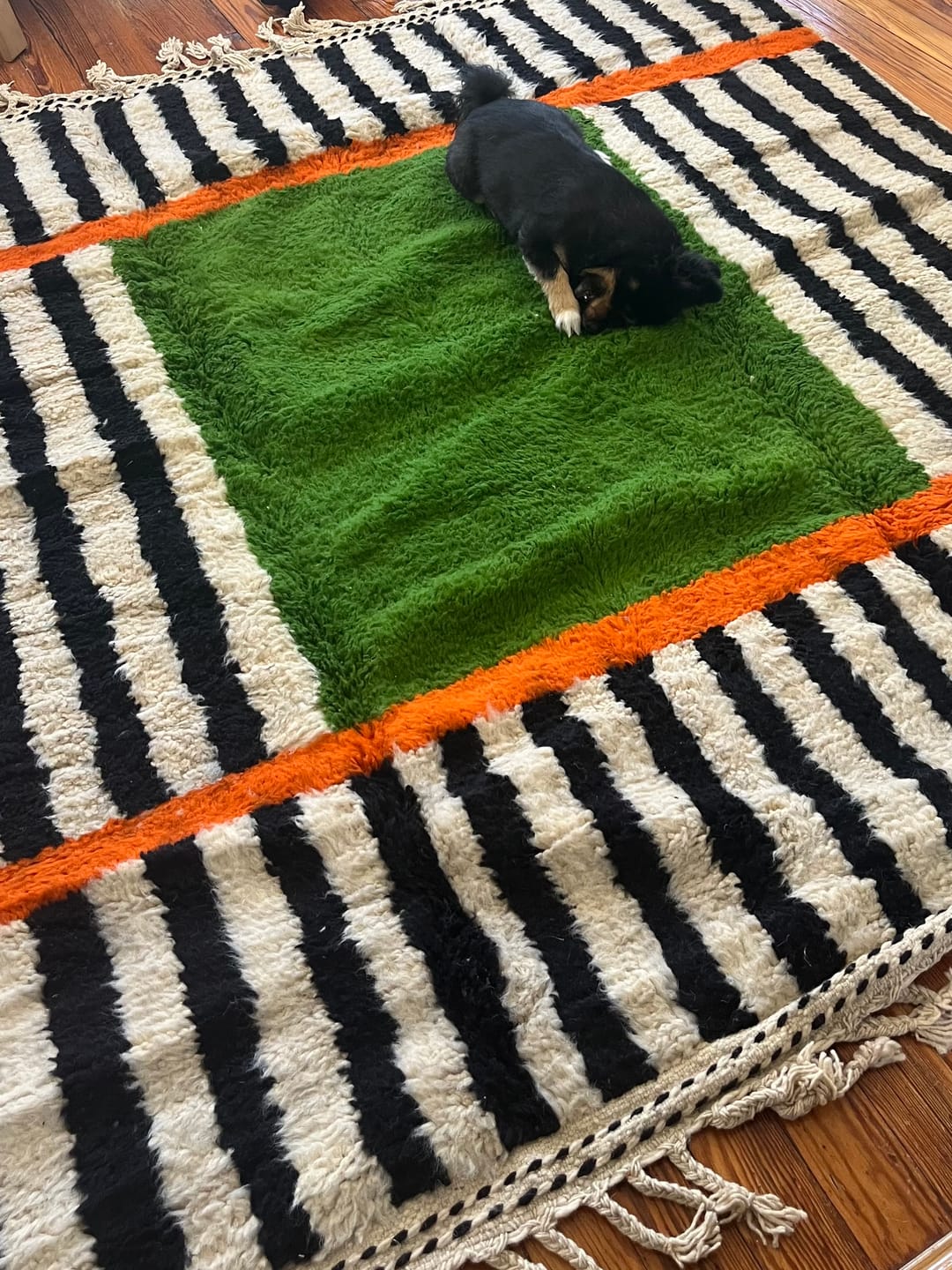 Customer photo review of Customized Moroccan Wool Rug - Forma 04