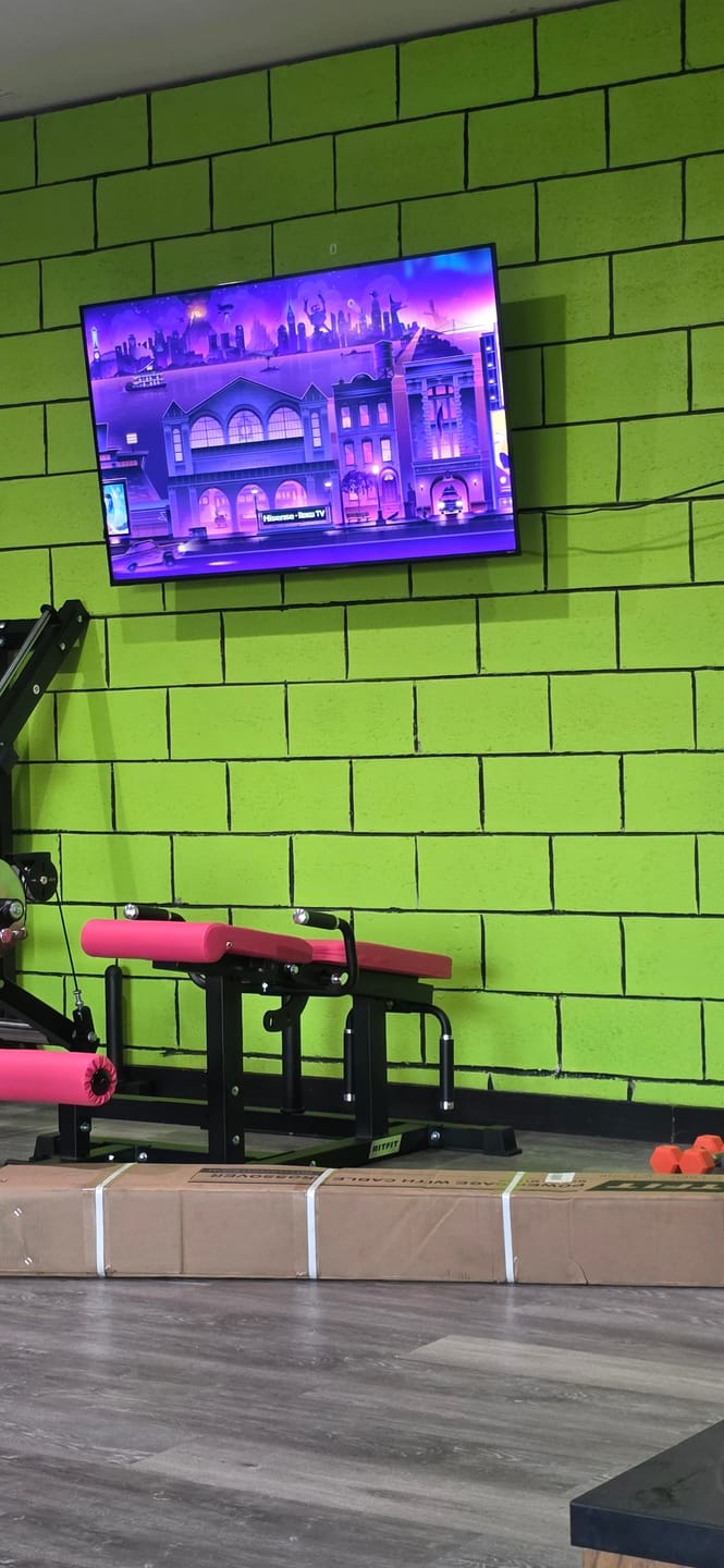 Customer photo review of RitFit Pink PLC01 Leg Extension Curl Machine