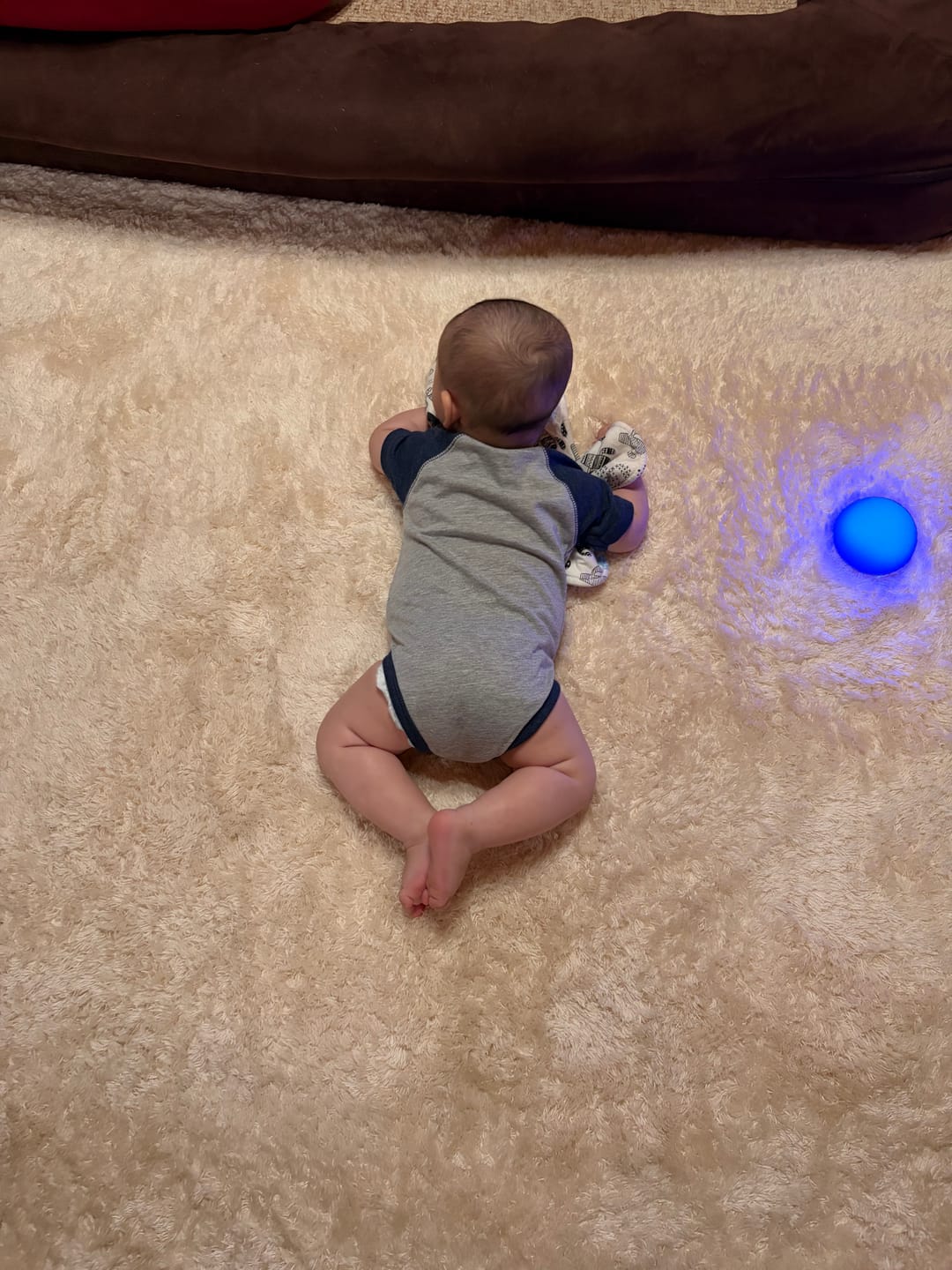 Customer photo review of Deluxe Shaggy Relax Mat - 1.4" Thick Foam Base