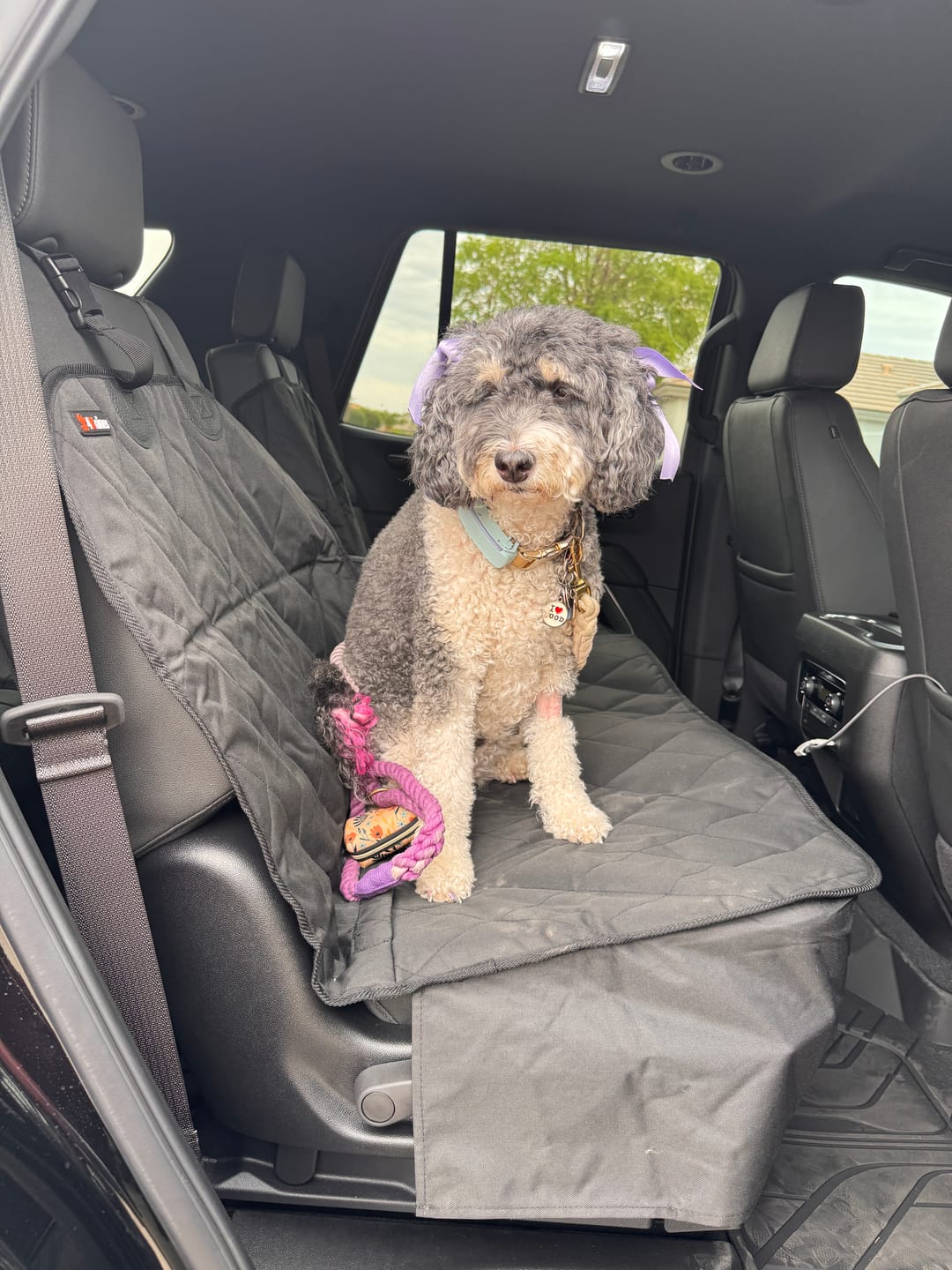 Customer photo review of Rear Seat Cover for Fold Down Seats - No Hammock - Regular