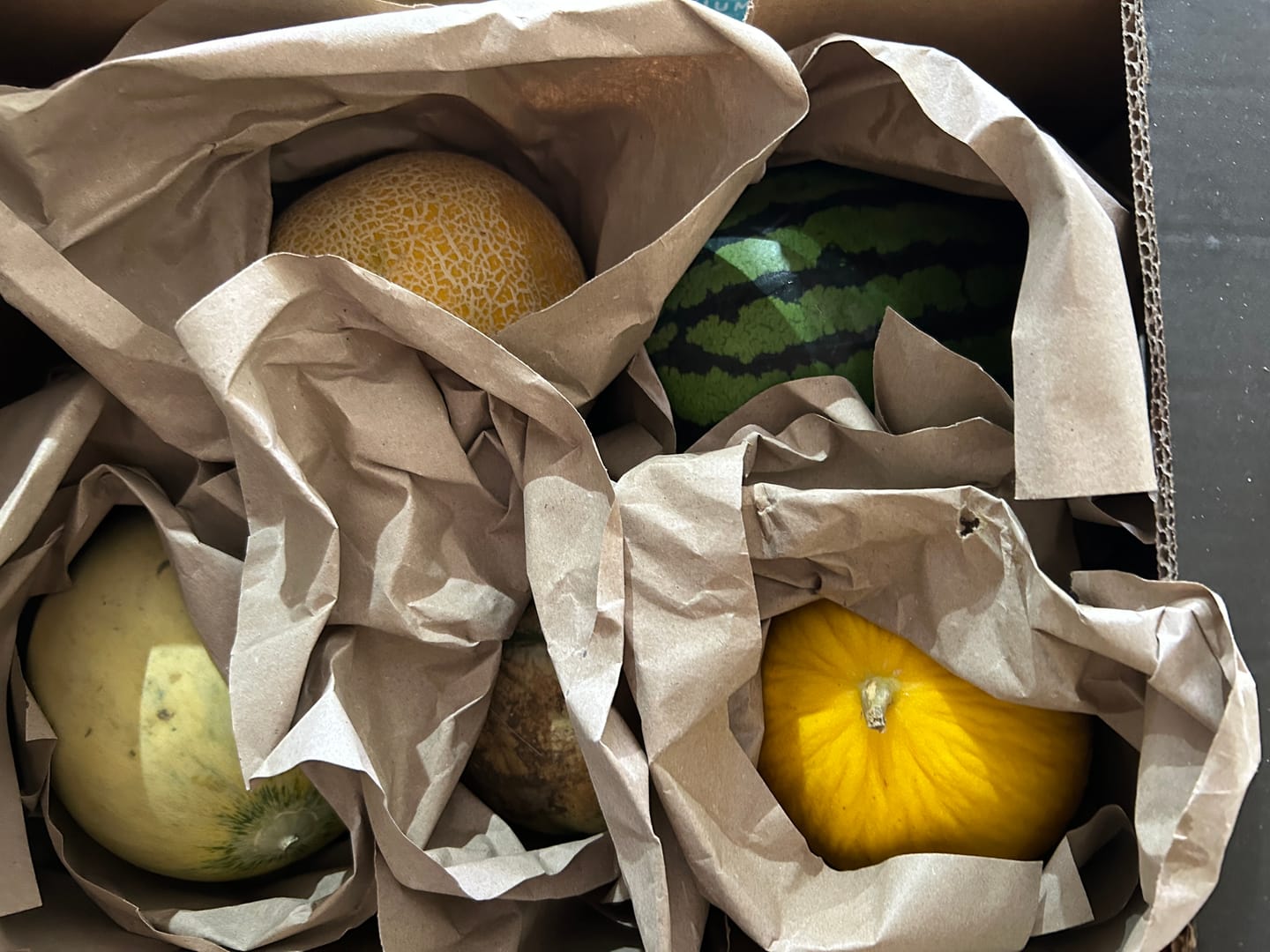 Customer photo review of Melonen-Mix Bio 5er Box