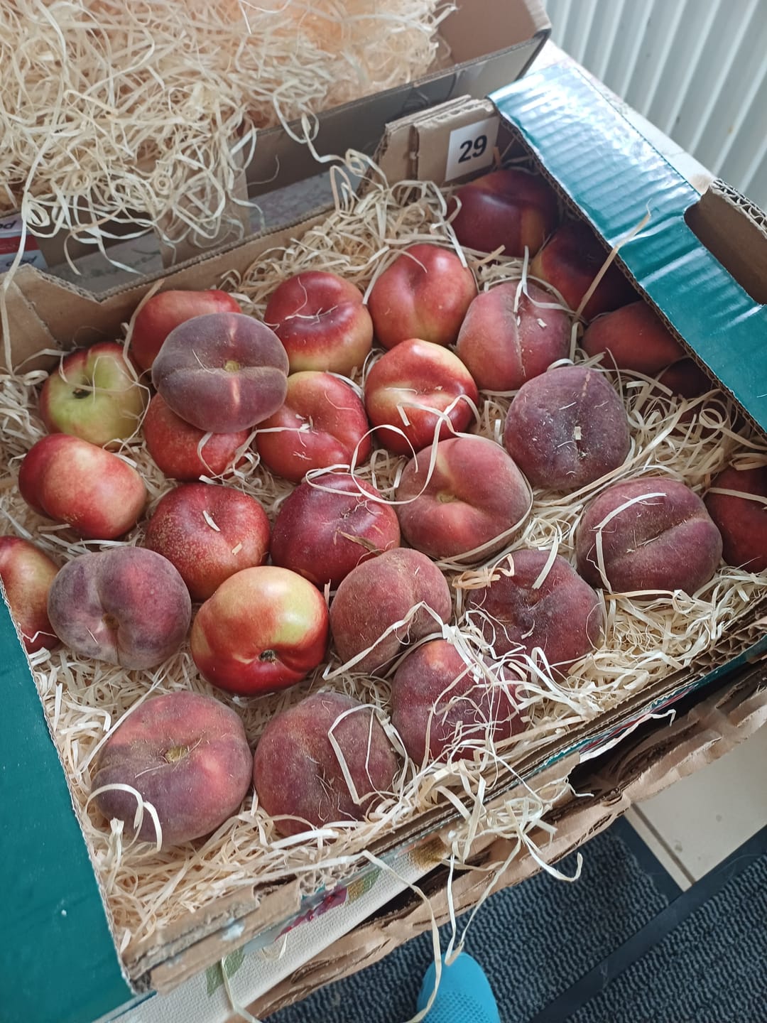 Customer photo review of Weinbergpfirsiche & Tellernektarinen gelb & weiss Bio von Jose