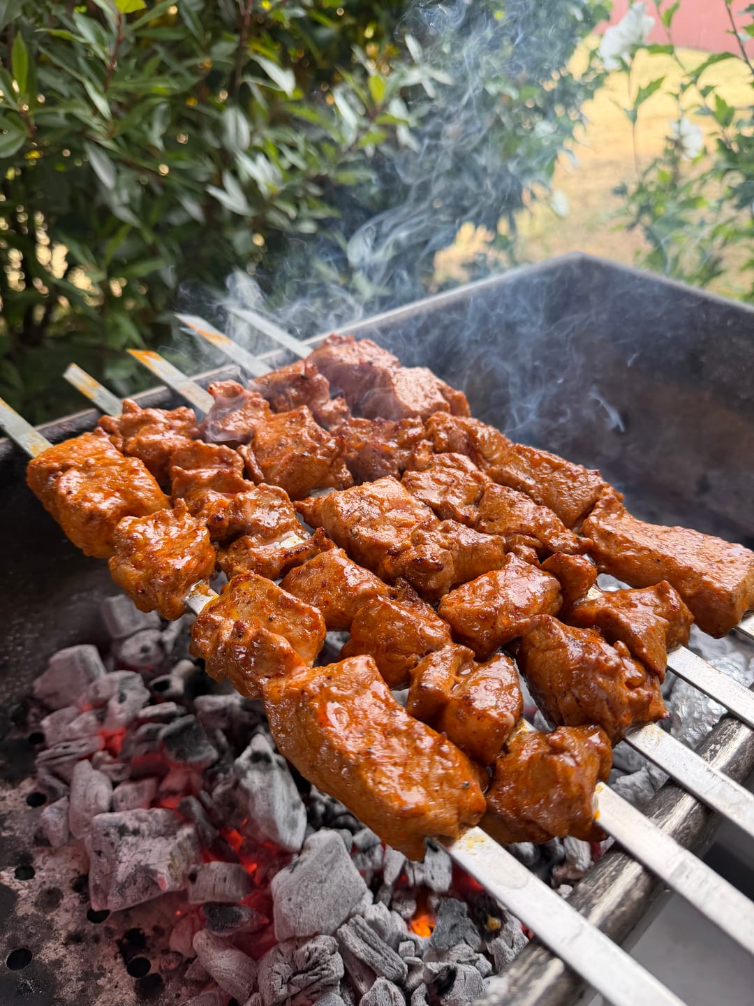 Customer photo review of Schweine-Schaschlik BBQ – süß-rauchige Marinade mit Honig | mySchaschlik