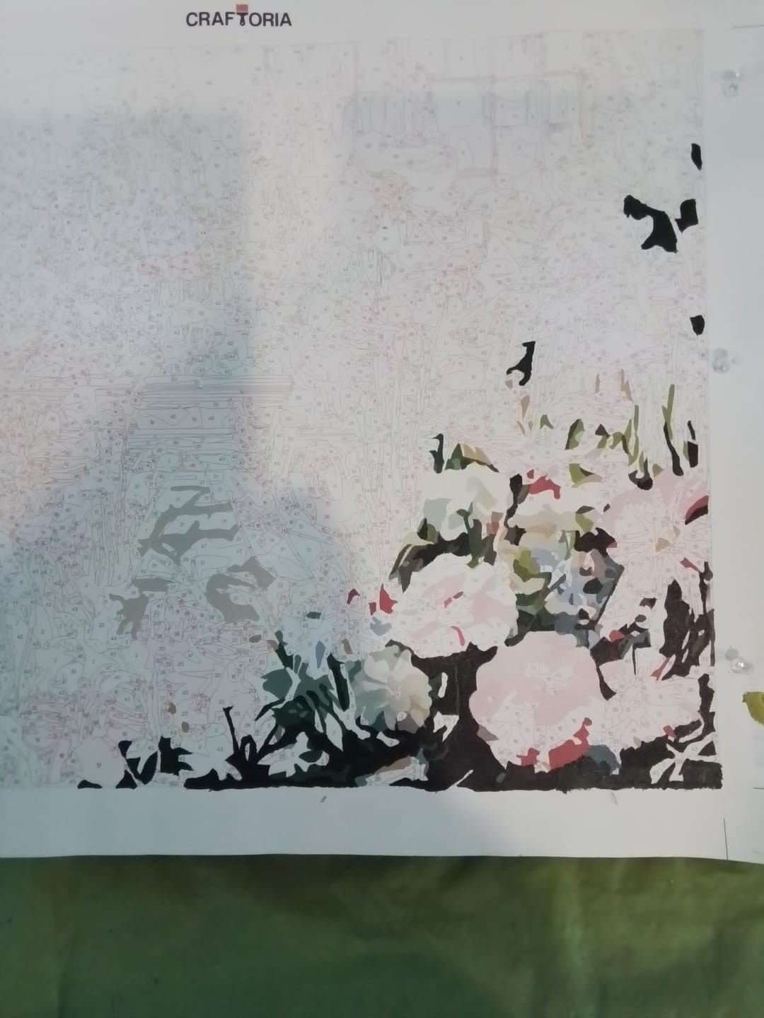 Customer photo review of Countryside Blooms