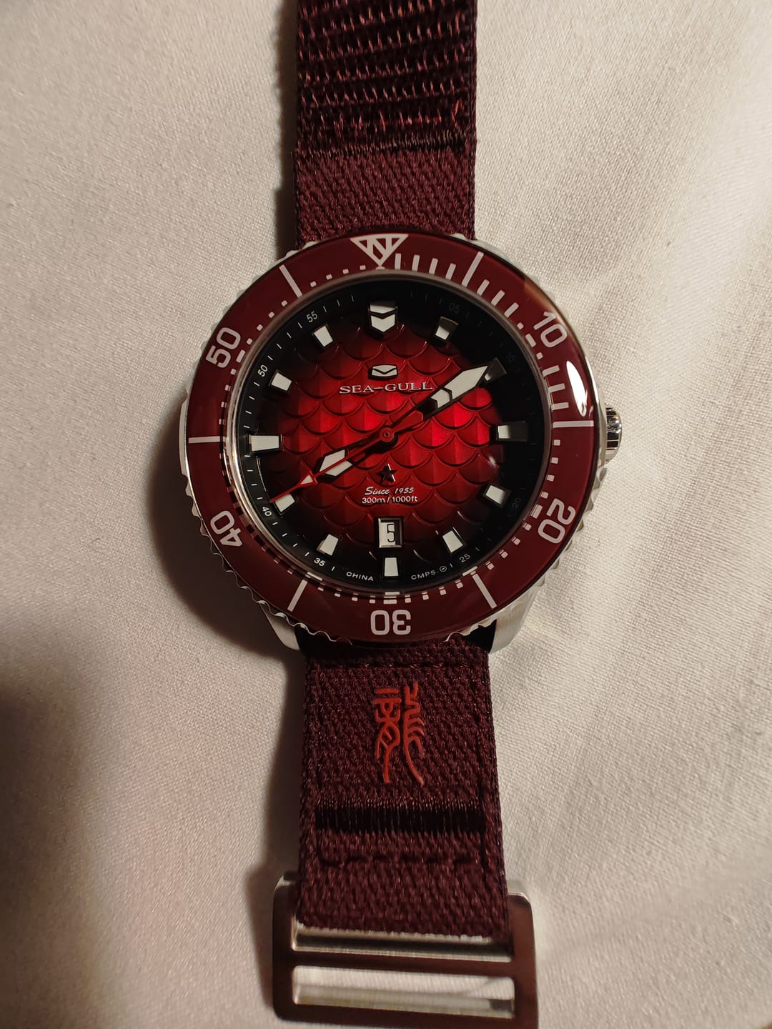 Customer photo review of Ocean Series Pro "Dragon Kings of the Four Seas" Dragon-scale Dial 300m Waterproof Diving Watch 44mm