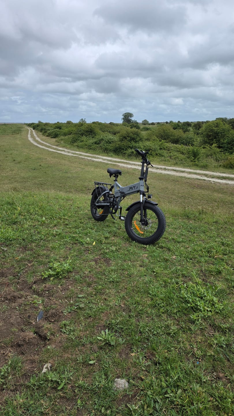 Customer photo review of PVY Z20 PLUS