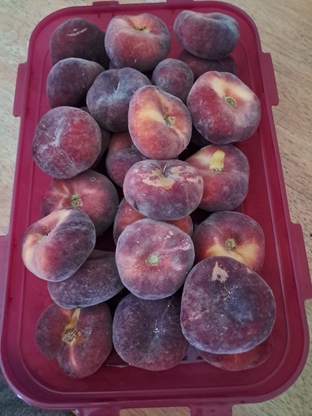 Customer photo review of Weinbergpfirsiche gelb Bio von Jose Miguel