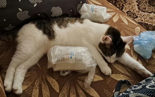 Customer photo review of Подарунковий міні бокс секретних батончиків🤭