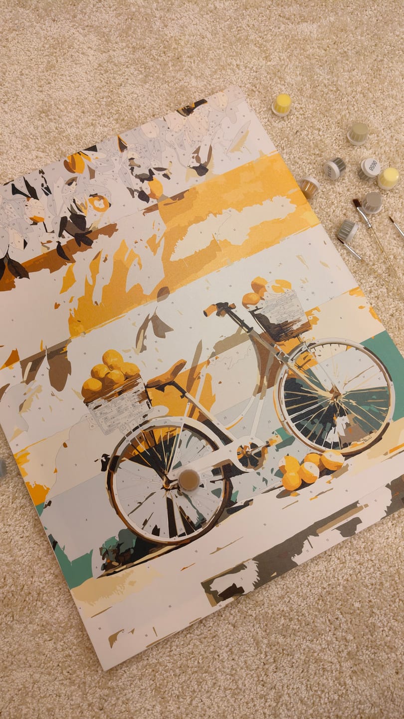 Customer photo review of Summer Ride | Paint by Number