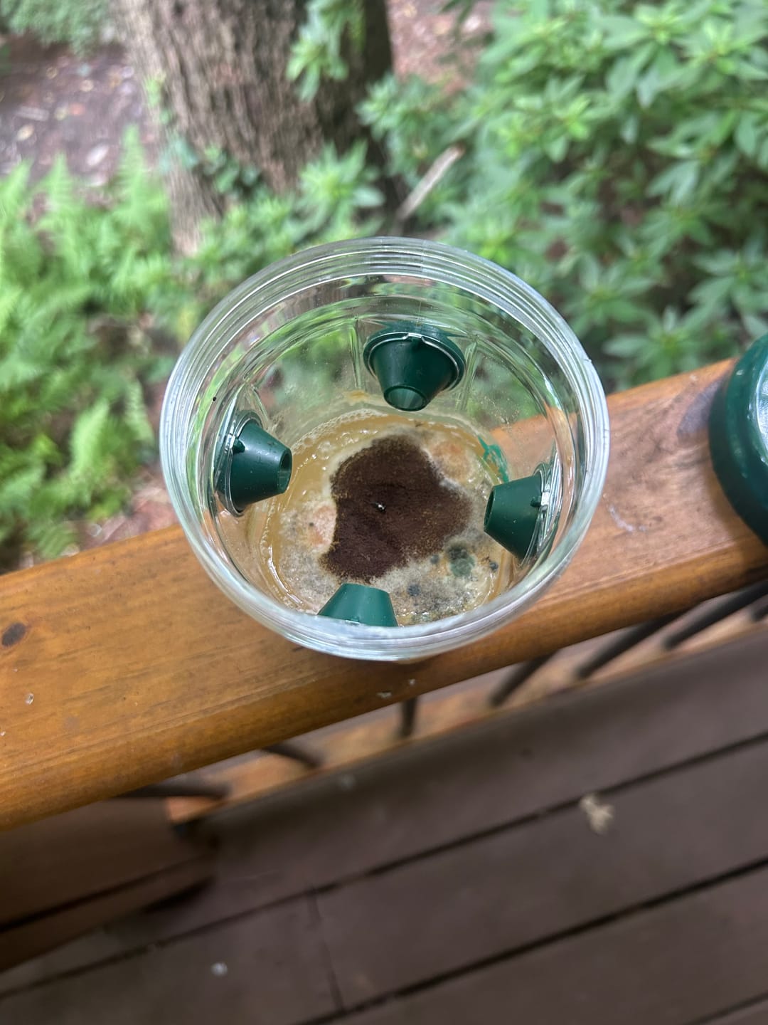 Customer photo review of Mosquito TNT 2.0