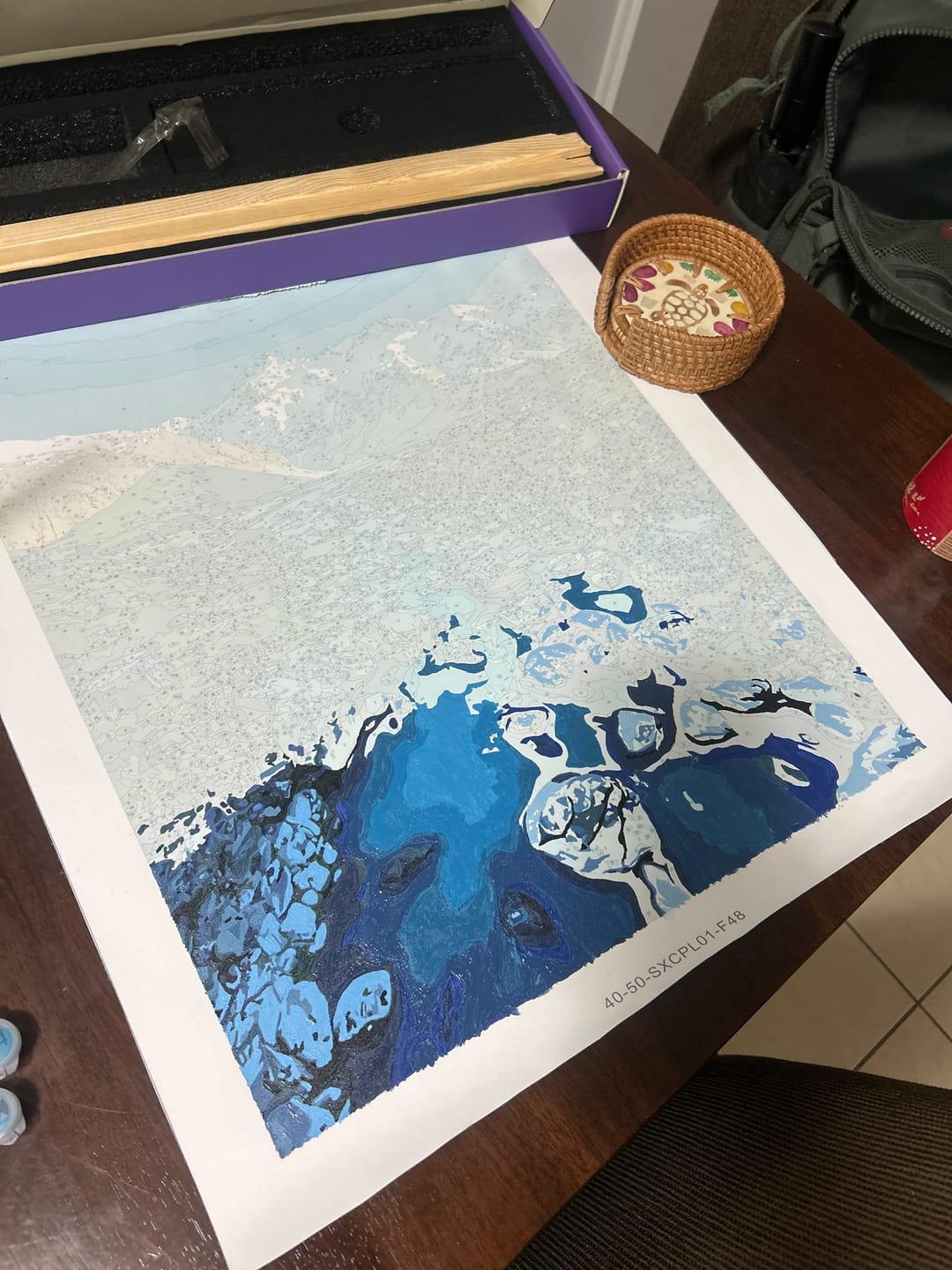 Customer photo review of Custom Places & Travel – Paint by Numbers