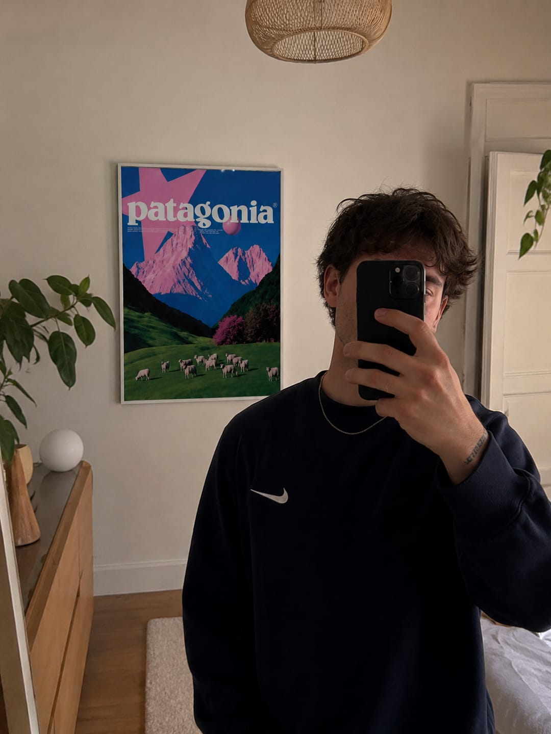 Customer photo review of Pastel Horizons Patagonia Wall Art
