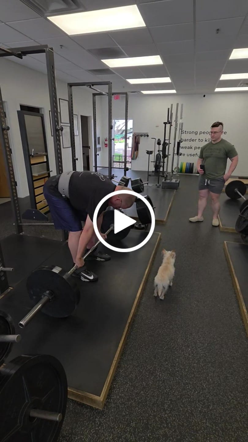 Customer video review of Evolution Athletics 10mm Lever Belt