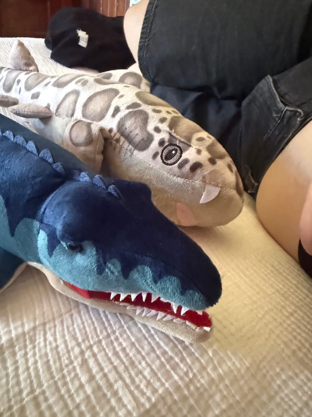 Customer photo review of Mosasaurus Soft Stuffed Plush Toy