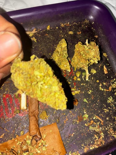 Raspberry Kush MICROS - 28 Grams - Indica photo review