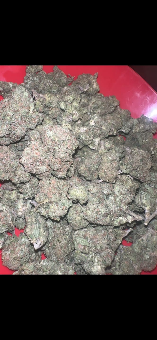 Customer photo review of Runtz - Bulk - Hybrid