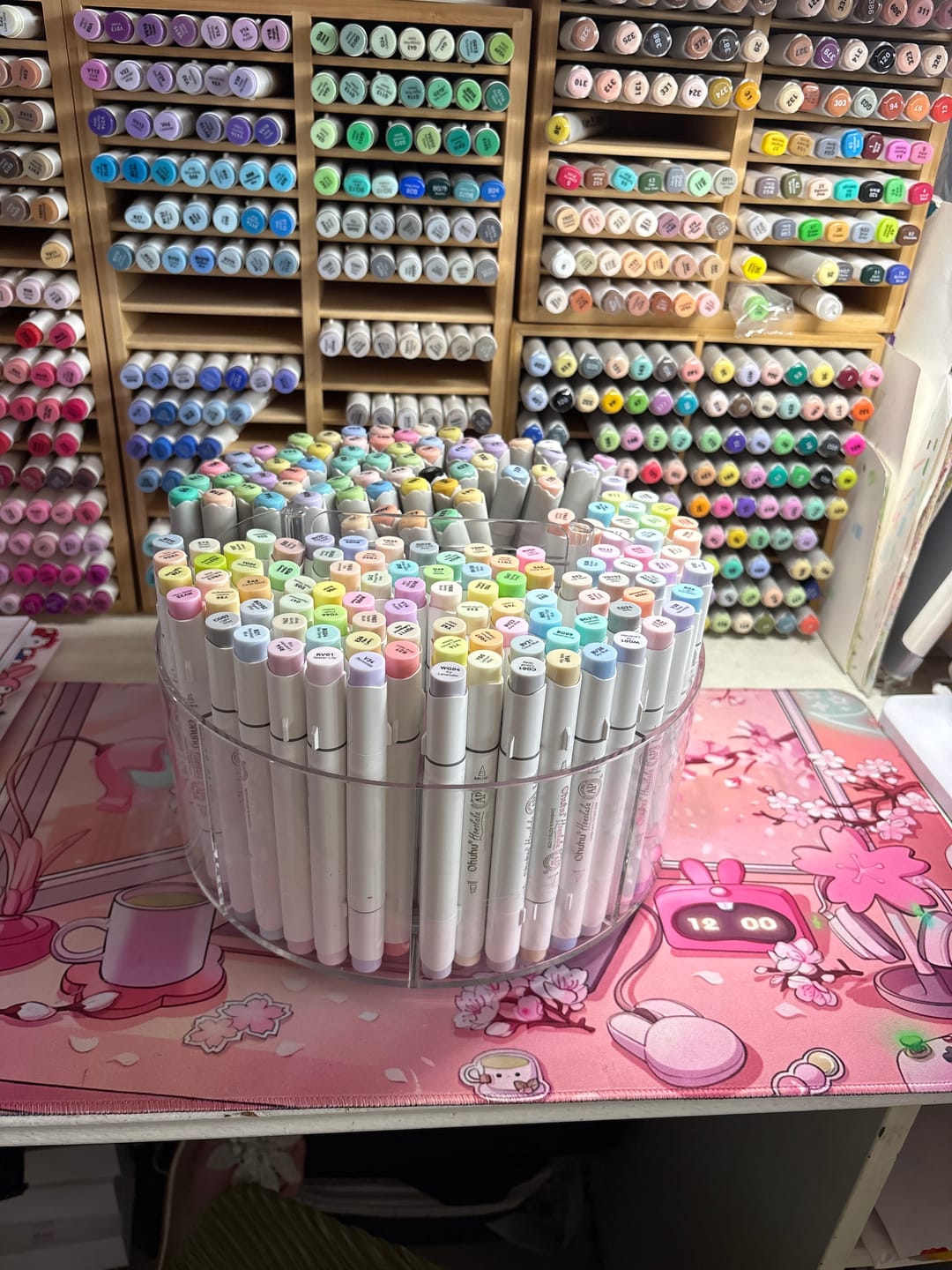 Customer photo review of Ohuhu Honolulu 96 Pastel Colors Alcohol Art Markers - Sweetness & Blossoming (New Color Codes)