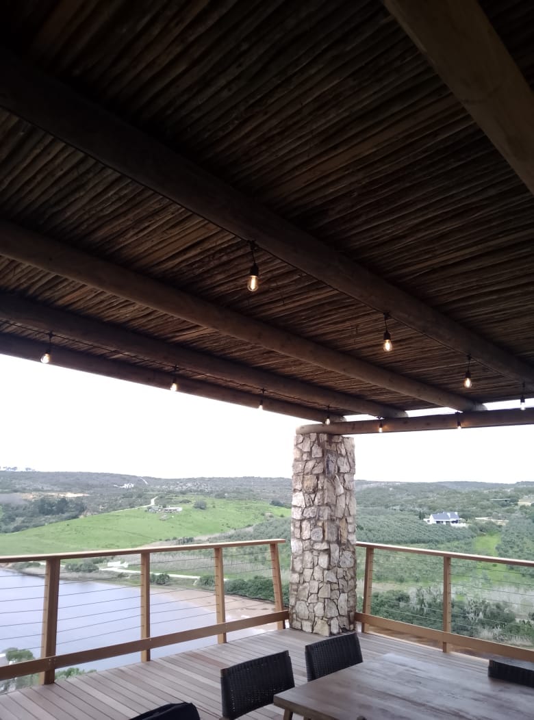 Customer photo review of Plug-In Festoon Bulb String Lights