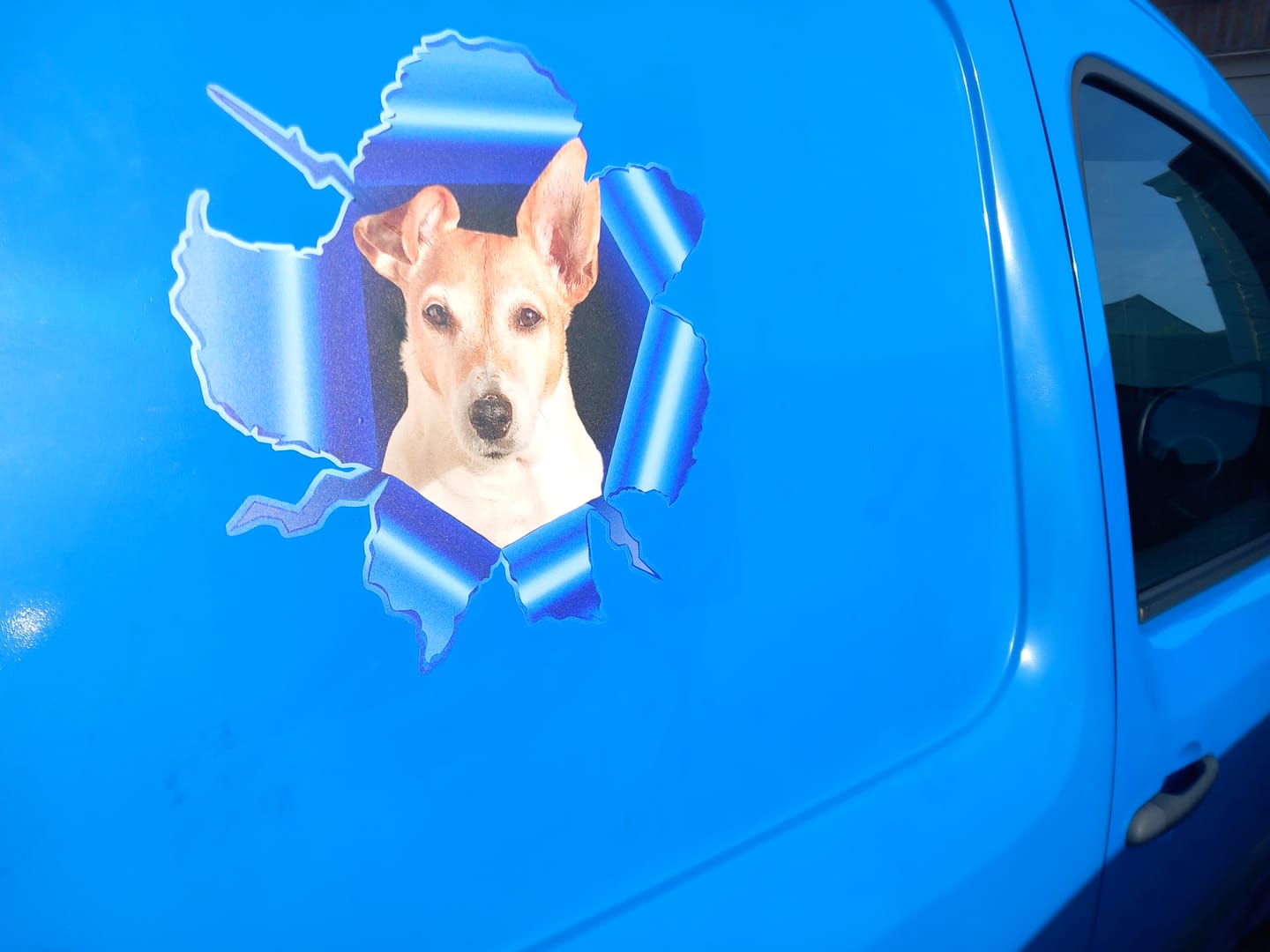 Customer photo review of Spioneren foto - Gepersonaliseerde autosticker