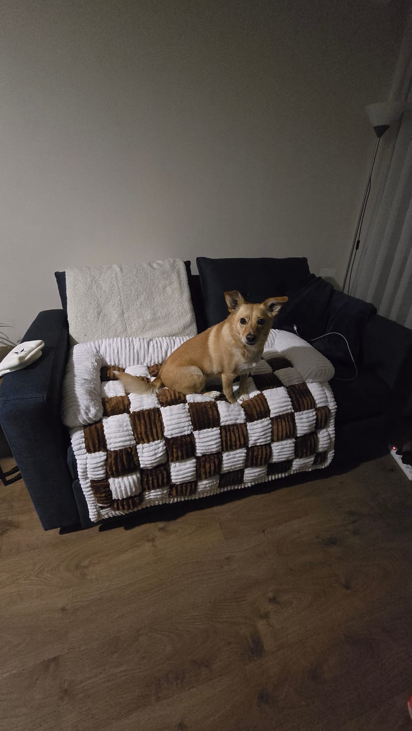 Customer photo review of Camita de Sillón Signature — Su lugar oficial en el sillón