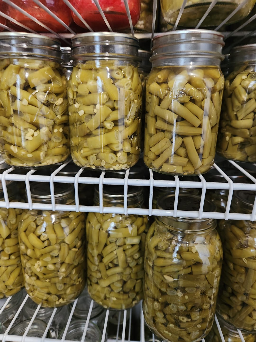Customer photo review of Bulk Regular Mouth Canning Lids – 156 Pack