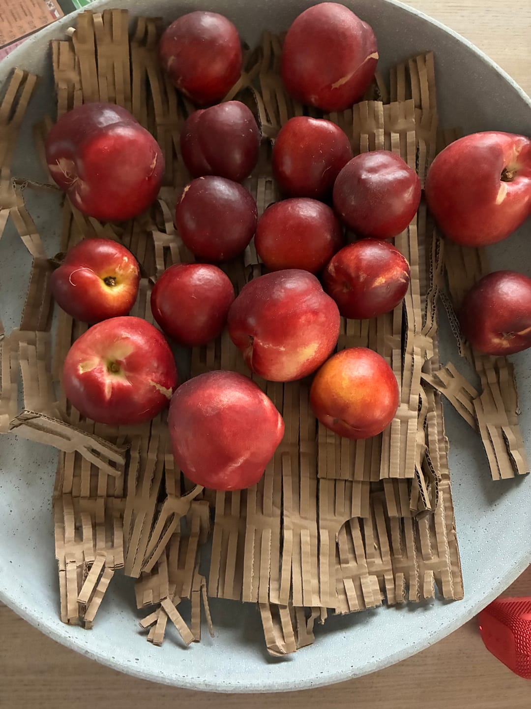Customer photo review of Nektarinen Mix Bio von Jose Sonderpreis % 3kg Box