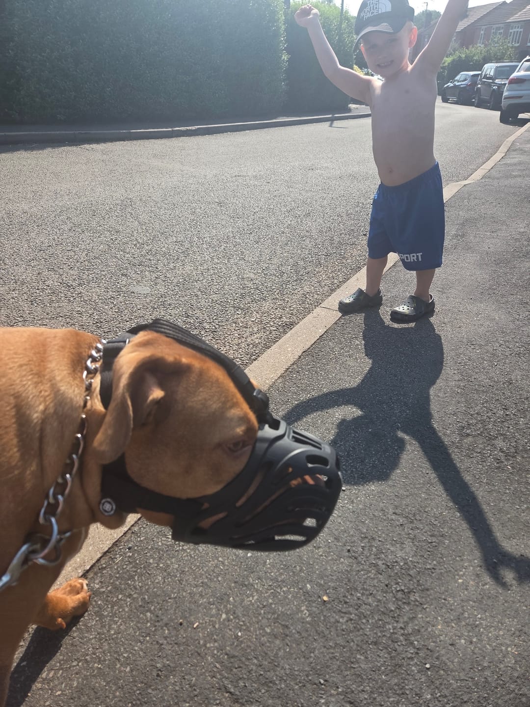 Customer photo review of Muzzle | Flexi & Legal Requirement - S-XL Breeds - Black
