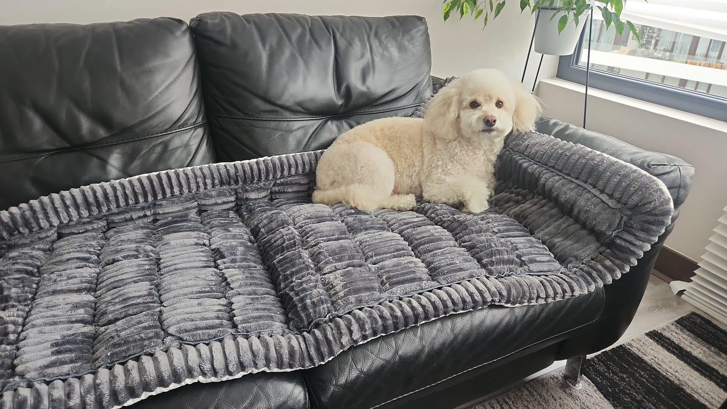 Customer photo review of Majestuoso · Protector Premium para Sofá