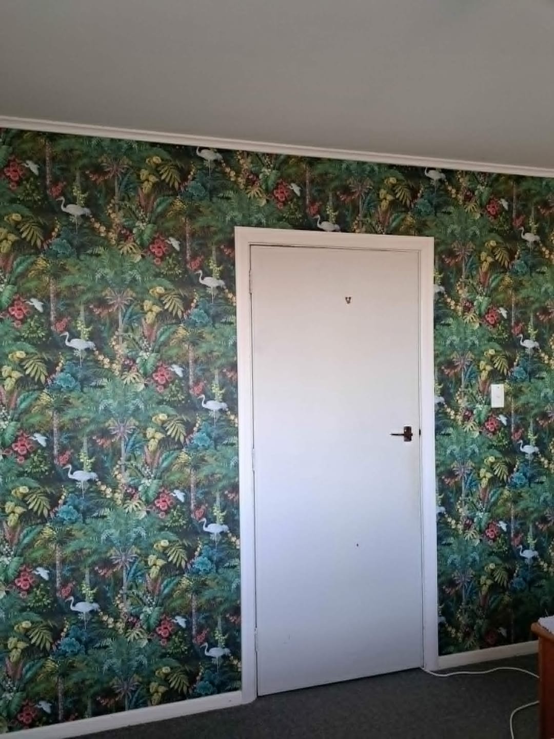 Customer photo review of Masoala Tropical Crane Wallpaper - Navy