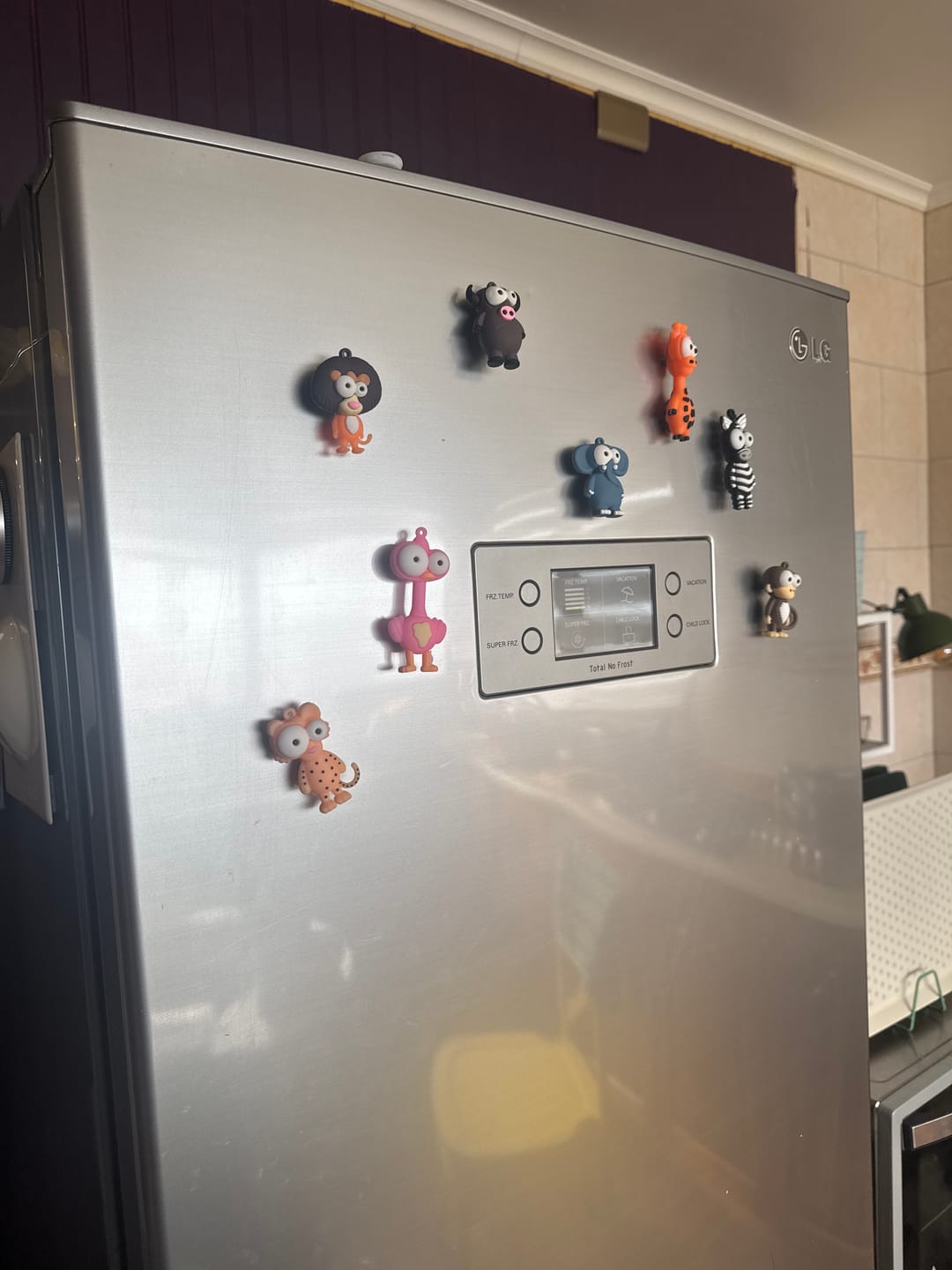 Customer photo review of Pack de 8 Imanes Locos