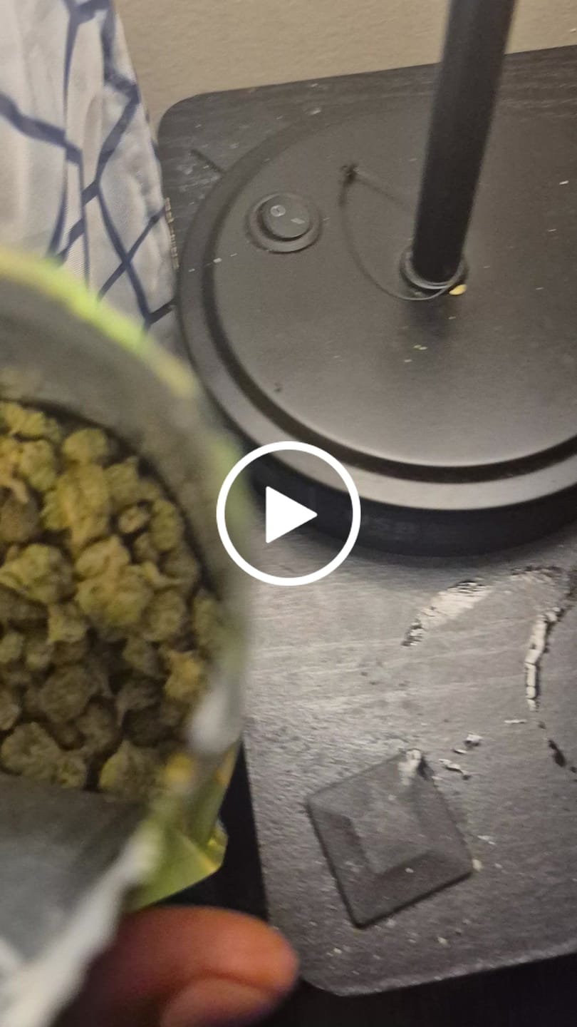 Customer video review of LITTLES BRAND - Gorilla Glue - 28 Grams Littles - Hybrid