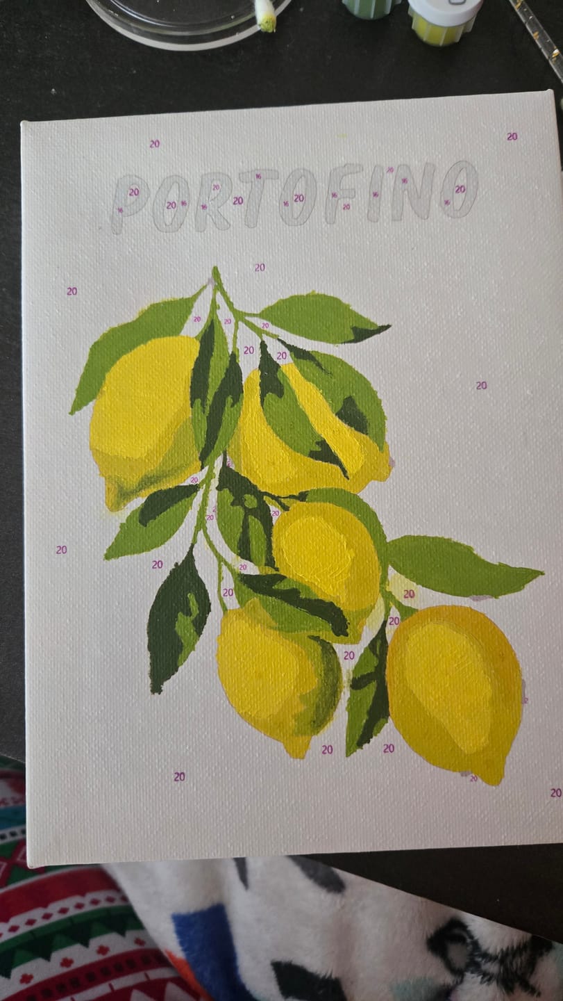 Customer photo review of 6 Mini Paintings - Italian Fruit & Drinks Set