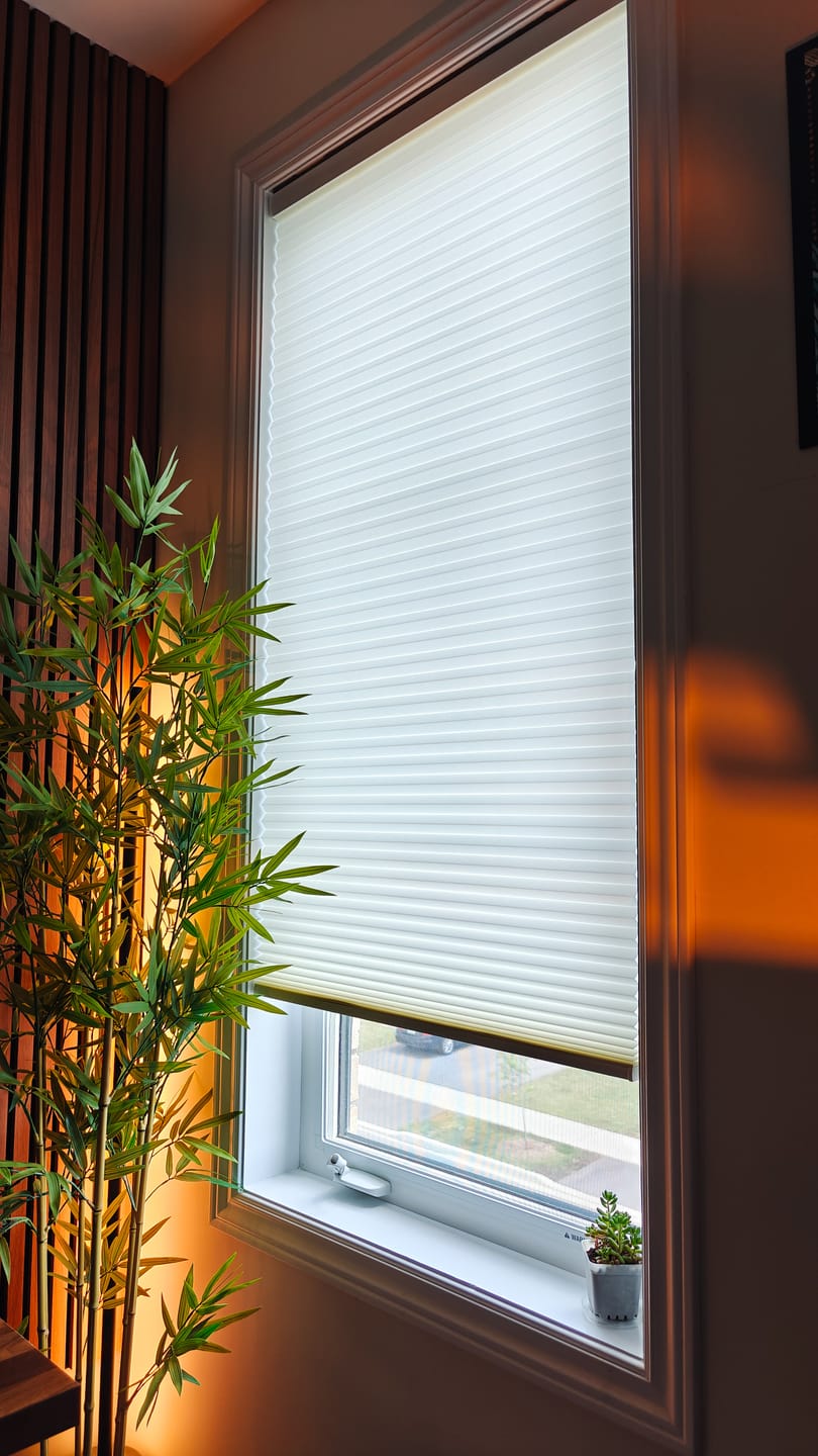 Customer photo review of SmartWings Motorized Light Filtering Cellular Shades Nowa Designer Texture Helios