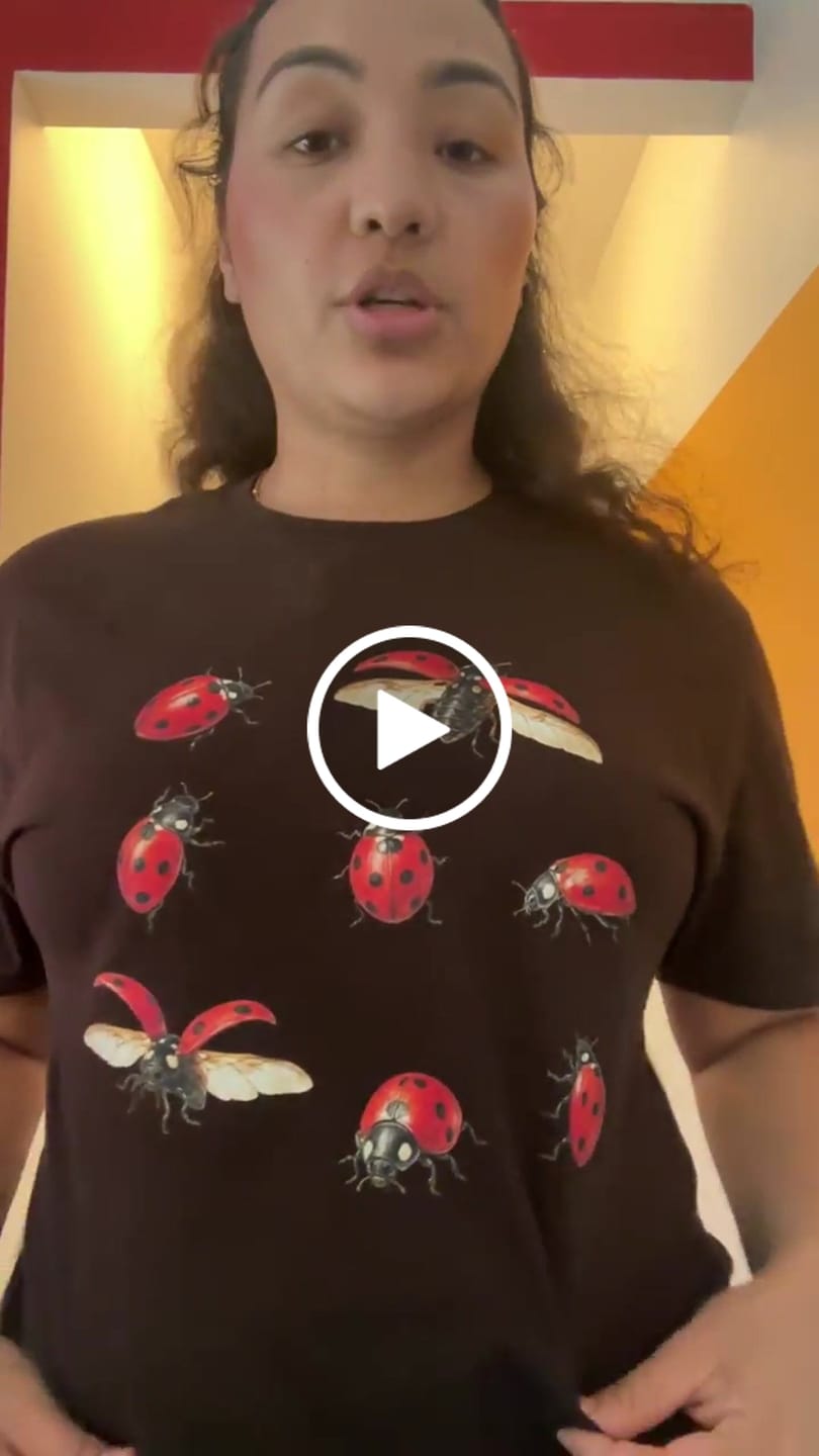 Customer video review of Ladybug Party